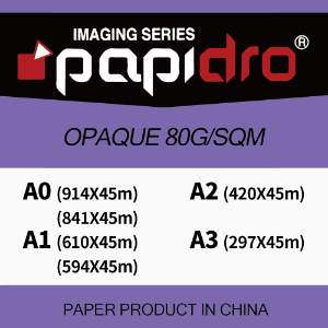PAPIDRO 80gsm 미색 백상지 시리즈